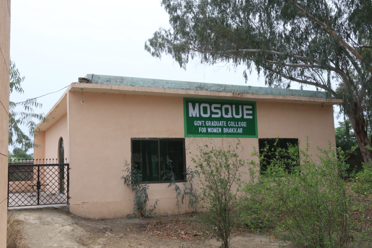 College Gallery Image